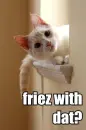 Fries wit dat?
