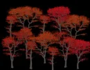 Autumn Trees