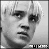 pureblood