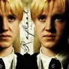 Draco