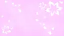 butterflys and flowers