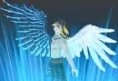 ed wings