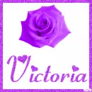 Rose with the name Victoria
