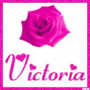 Rose with the name Victoria