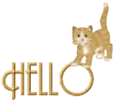 kitty  /Hello 