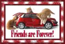 FRIENDS FOREVER