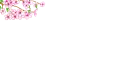 falling petals