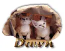 Dawn