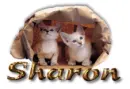 Sharon