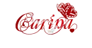 Glitter Butterfly/ Name Carina