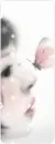 butterfly kiss