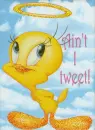 Ain't I Tweet