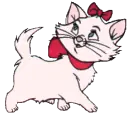 Marie cat