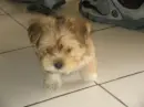 Rusty