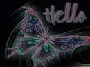 buterfly in cave