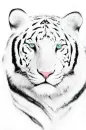 White Tiger