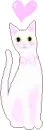 kitty