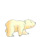 polar bear
