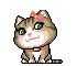 kitty