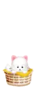 kitty in a bascket