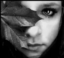 black leaf