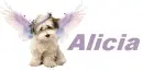 alicias puppy