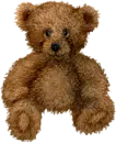 cute bear