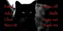 Black Cat