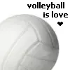 volleyball <3