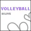 volleyball <3