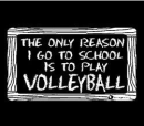 volleyball <3