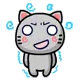 sick cat