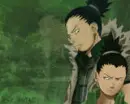 shicamaru