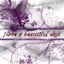 Have a beautiful day