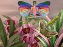 fada tropical