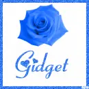 Rose with the name Gidget