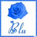 Rose with the name Blu