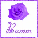 Rose with the name Bamm