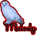 snow owl