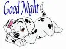 Good night