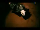 Lacuna Coil - Swamped