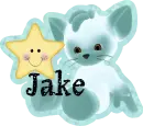 cat and star