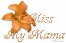 I Miss My  Mama