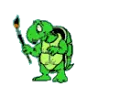 Sue tortiose