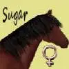 A Pony