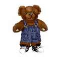 Bear Wearing Overalls