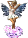 Daisy Fairy