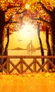 beautiful afternoon view