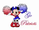 Go Patriots
