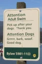 adultswim